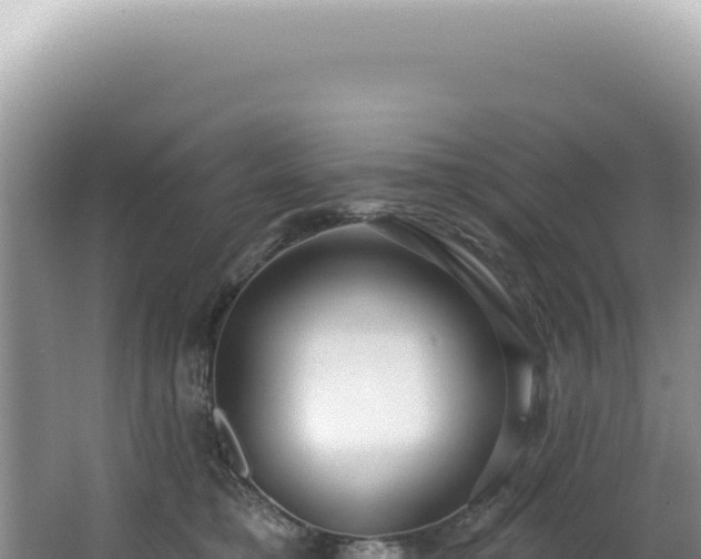 X0000062860421200601171542