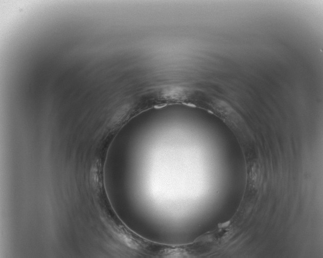 X0000062860424200601171542