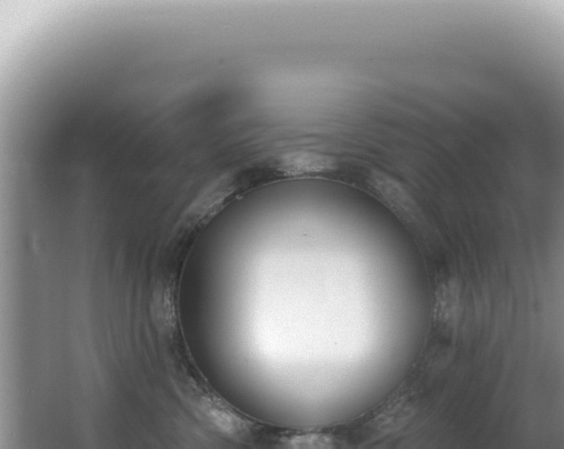 X0000062860426200601171542