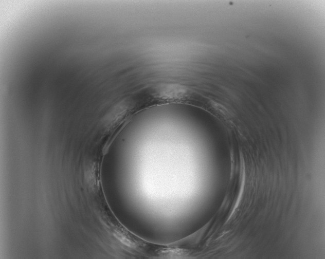 X0000062860428200601171542