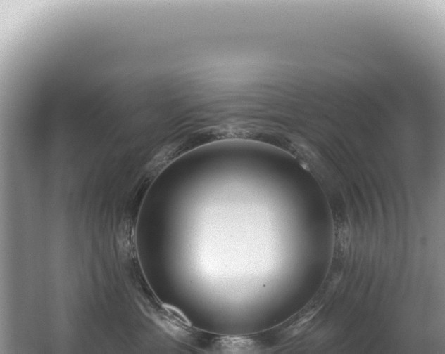 X0000062860429200601171542