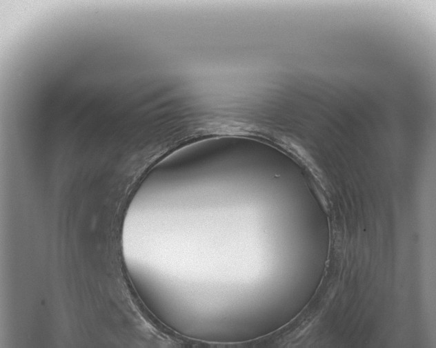 X0000062860433200601171541