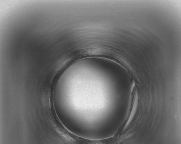 X0000062860446200601171541