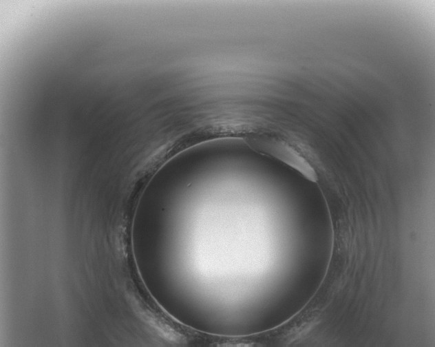 X0000062860450200601171541