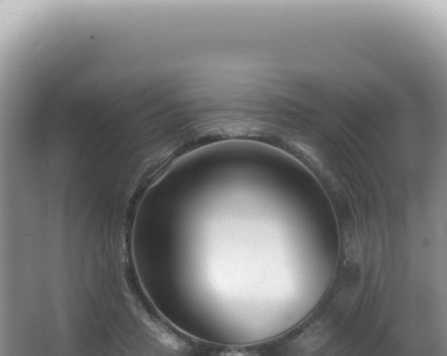 X0000062860453200601171541