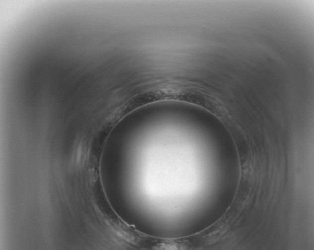 X0000062860464200601171541