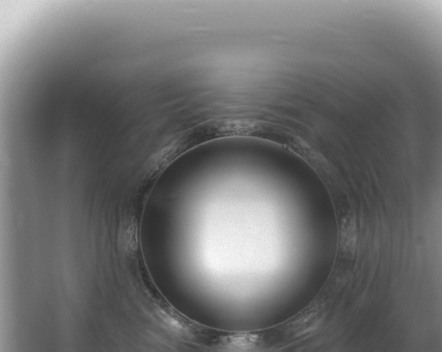 X0000062860474200601171542