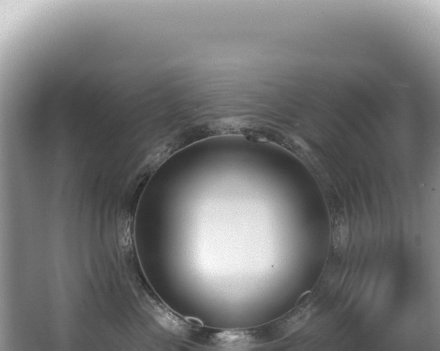 X0000062860477200601171542