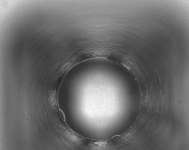 X0000062860478200601171542