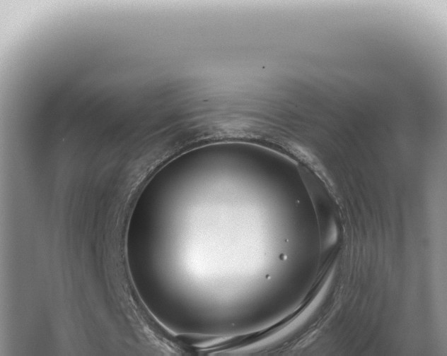 X0000062860481200601171541
