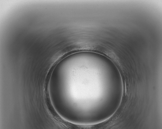 X0000062860483200601171541