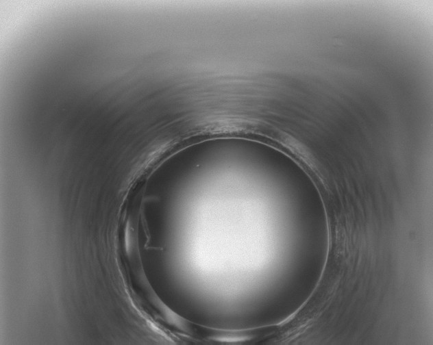 X0000062860485200601171541