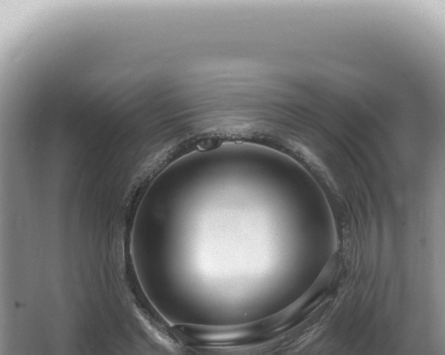 X0000062860493200601171541