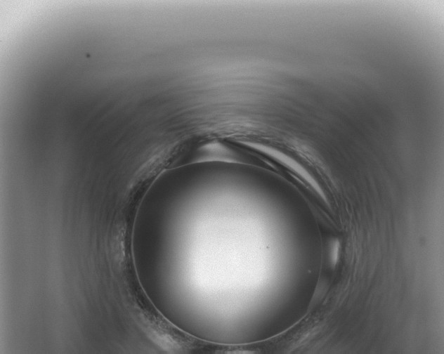 X0000062860501200601171541