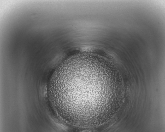 X0000062860502200601171540