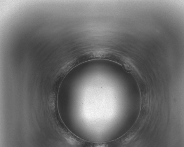 X0000062860505200601171540