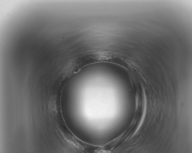 X0000062860512200601171540
