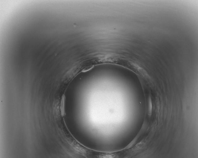 X0000062860513200601171540