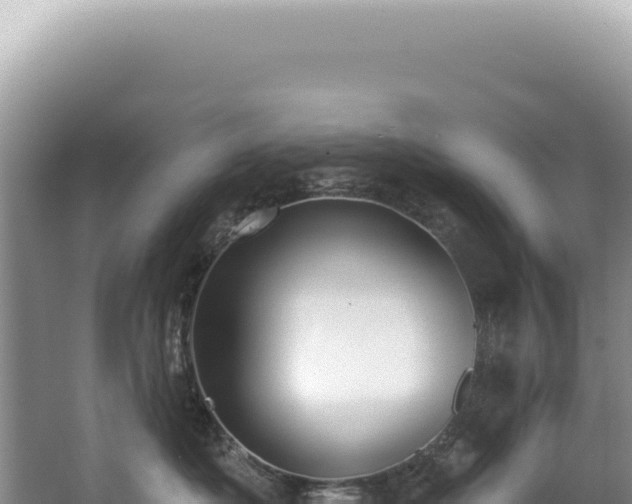X0000062860525200601171540