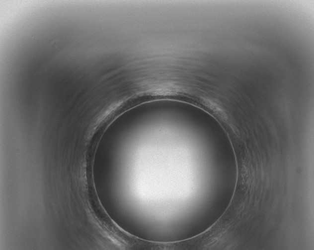 X0000062860535200601171539