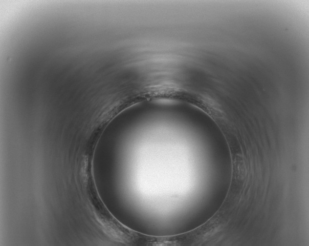 X0000062860550200601171540