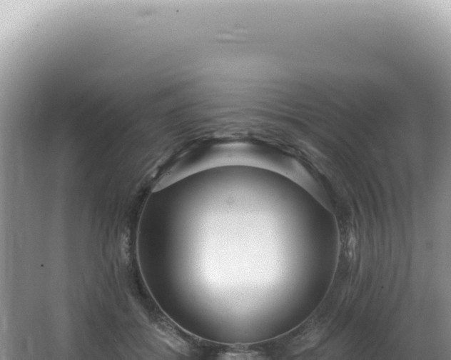 X0000062860556200601171540