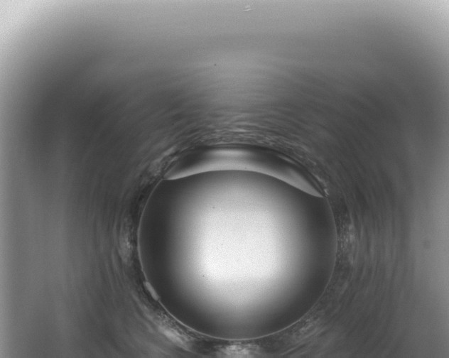 X0000062860566200601171540