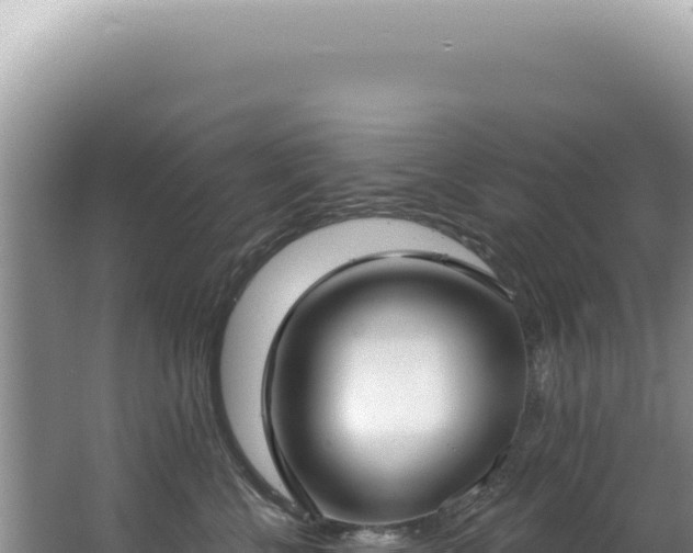 X0000062860570200601171540