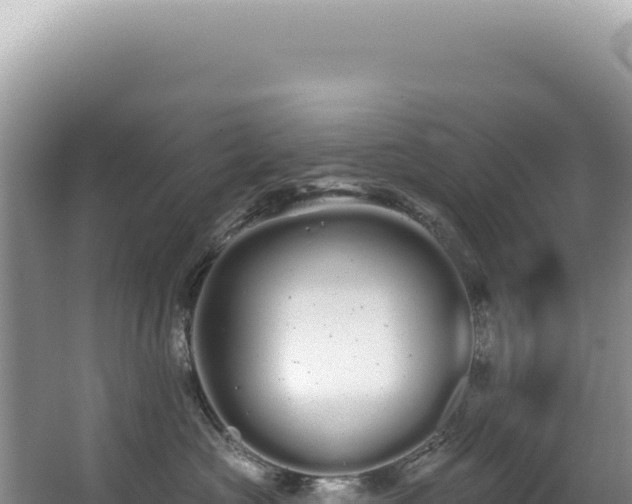 X0000062860573200601171540