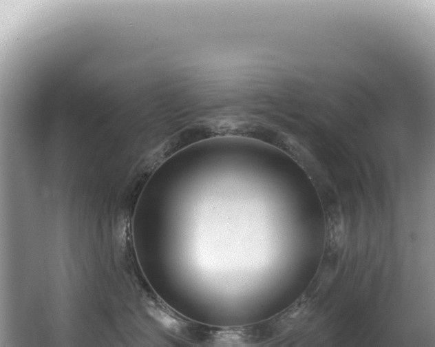 X0000062860574200601171540