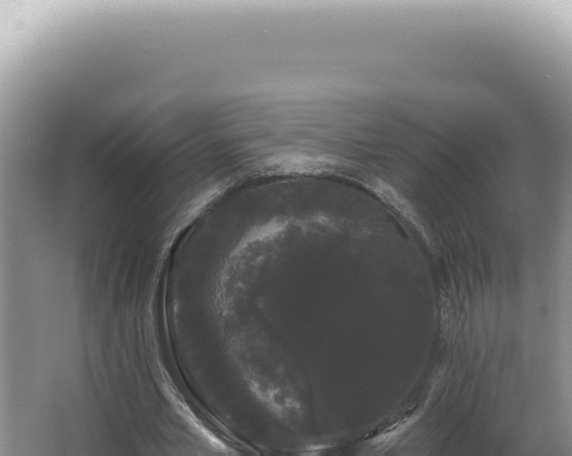 X0000062860581200601171539