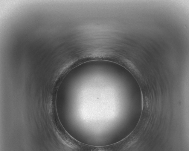 X0000062860588200601171539