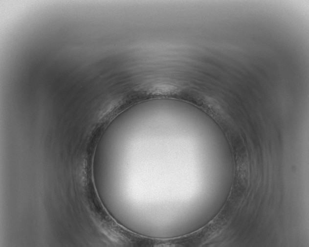 X0000062860591200601171539