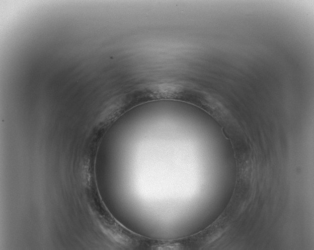 X0000062860599200601171539