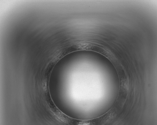 X0000062860602200601171539