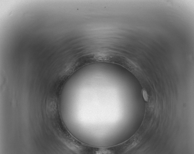 X0000062860603200601171539