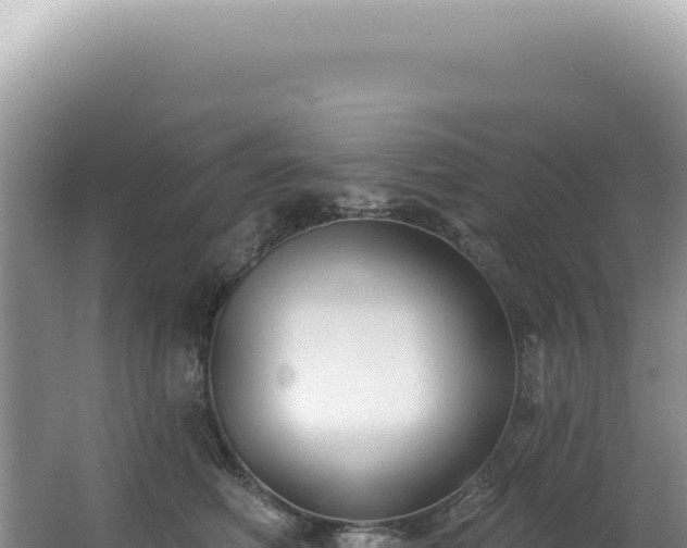 X0000062860614200601171539