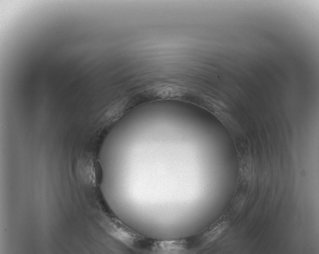X0000062860622200601171538