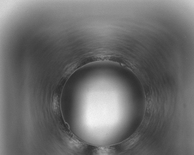 X0000062860623200601171538