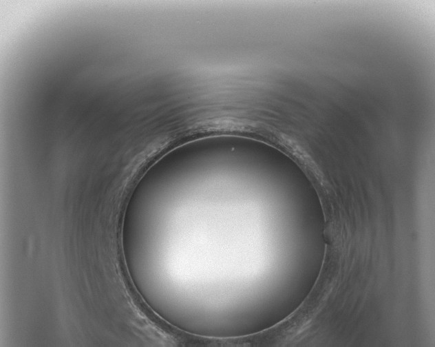 X0000062860625200601171538