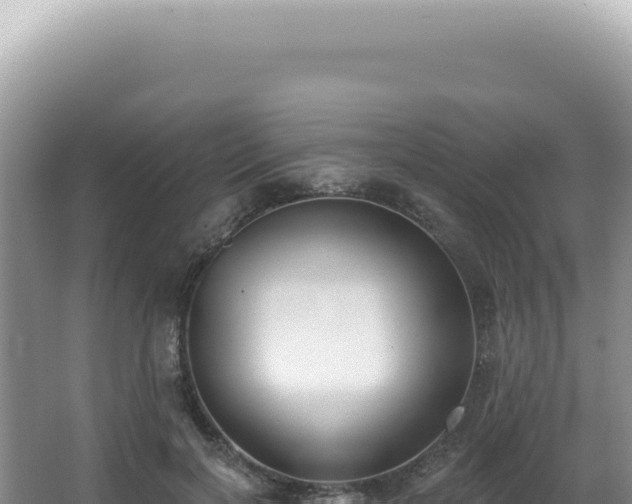 X0000062860646200601171538