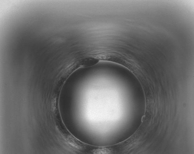 X0000062860652200601171538