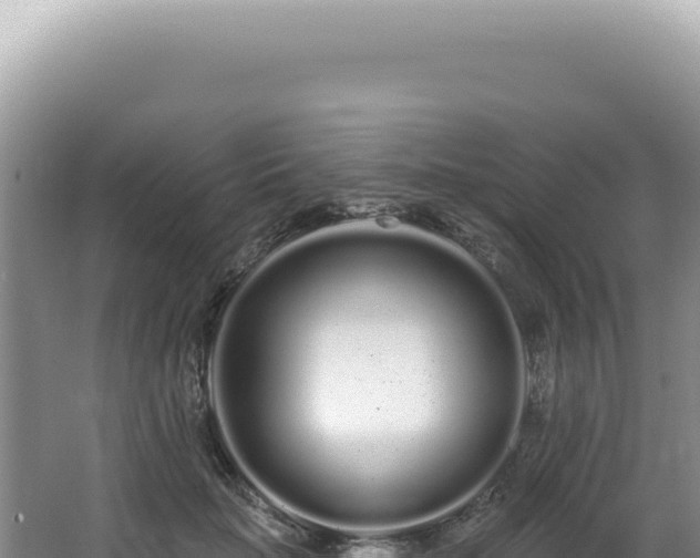 X0000062860653200601171538