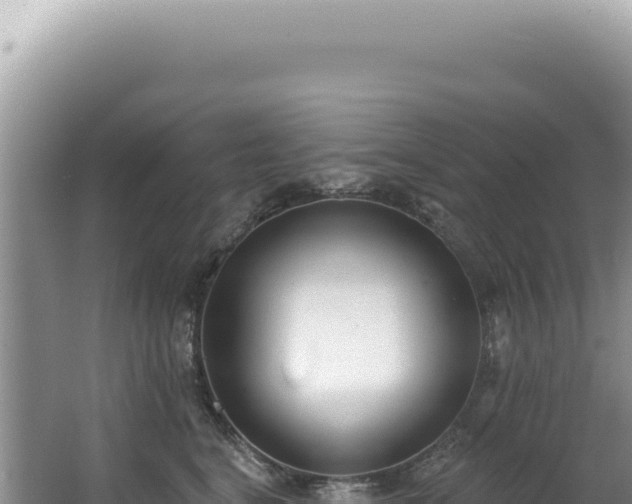 X0000062860664200601171538
