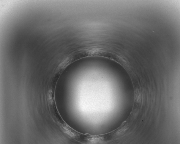 X0000062860670200601171538