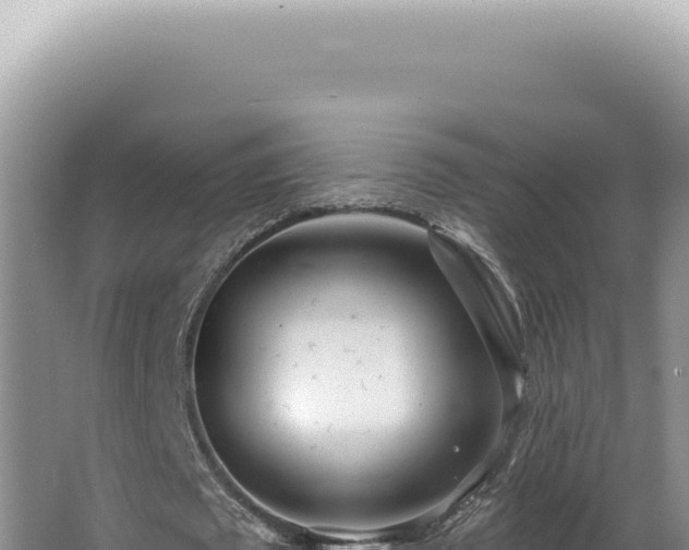 X0000062860673200601171538