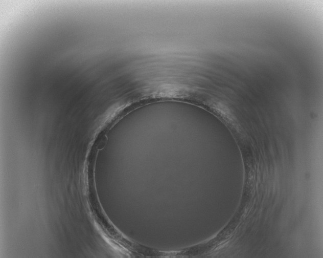X0000062860678200601171538