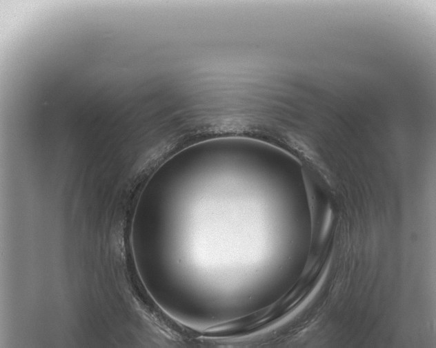 X0000062860681200601171537