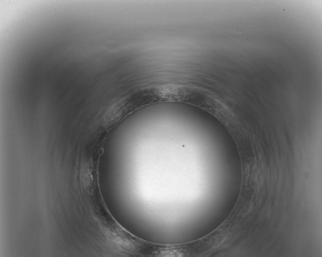 X0000062860702200601171537
