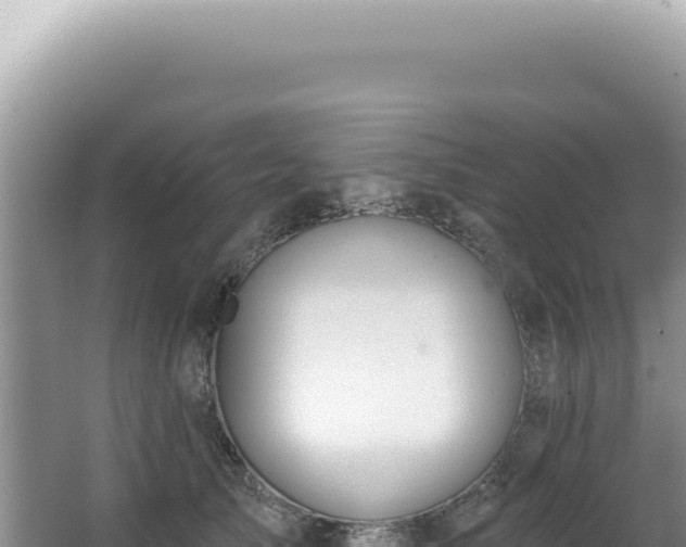 X0000062860705200601171537
